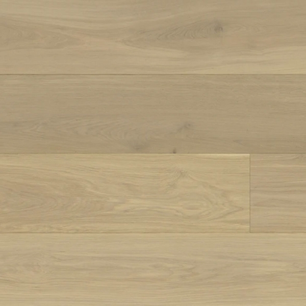 Picture of Monarch Plank - La Grande Grenoble