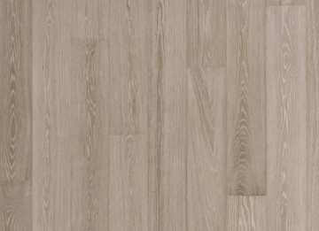 Picture of Nuvelle - Modern Living La Jolla