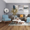 Picture of Chesapeake Flooring - Heartland Oakley