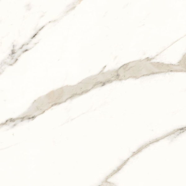 Picture of Elysium - Trilogy 24 x 24 Calacatta White Soft