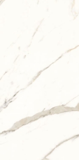 Picture of Elysium - Trilogy 24 x 48 Calacatta White Lux