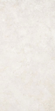 Picture of Elysium - Untamed 24 x 48 Wander White