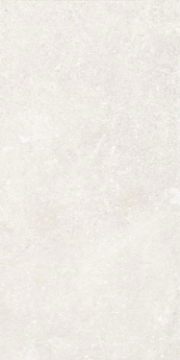 Picture of Elysium - Untamed 12 x 24 Wander White