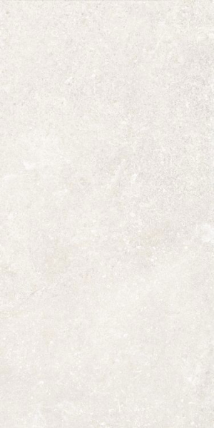 Picture of Elysium - Untamed 12 x 24 Wander White