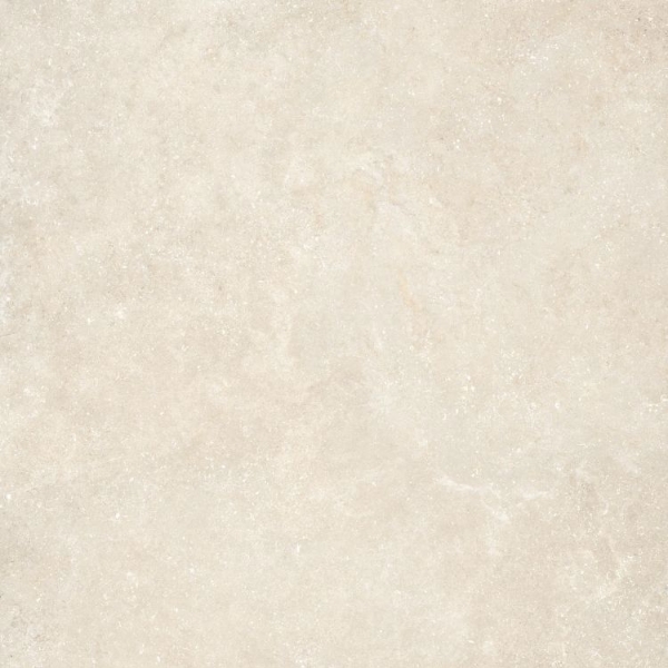 Picture of Elysium - Untamed 48 x 48 Wander Warm