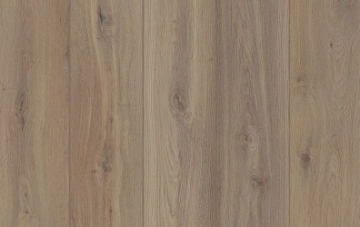 Picture of Lions Floor - Lone Star Spirit XL Shangri La