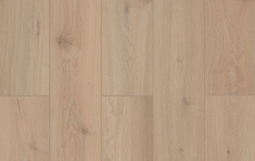 Picture of Lions Floor - Lone Star Spirit XL Sea Shell