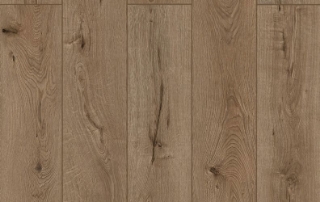 Picture of Lions Floor - Lone Star Spirit XL Forgotten Bark