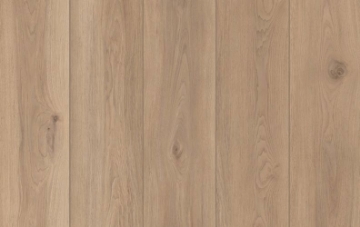 Picture of Lions Floor - Lone Star Spirit XL Artisan Touch