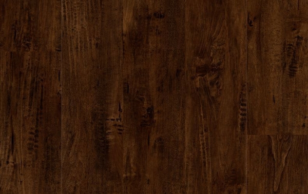 Picture of Lions Floor - District Clayton