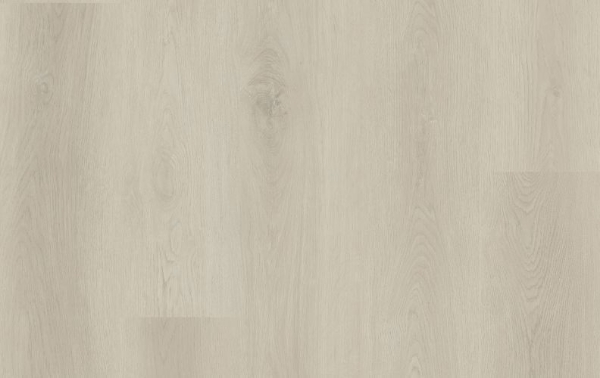 Picture of Lions Floor - District Brentwood