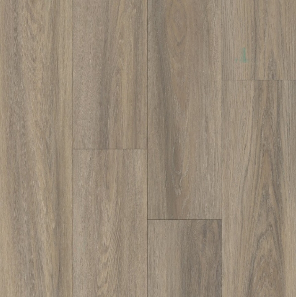 Picture of Happy Feet Intl. - Broadway Sussex