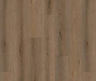 Picture of Norwood Hill - Rightwood XL Beach Haven