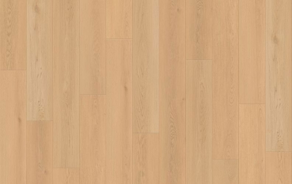 Picture of Lions Floor - Seaside Summit Seashell Radiance