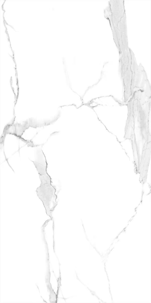 Picture of Decovita - Calacatta 12 x 24 Satin Matte White