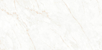 Picture of Decovita - Calacatta Glam 24 x 48 Polished Glam