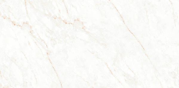 Picture of Decovita - Calacatta Glam 24 x 48 Polished Glam