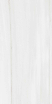 Picture of Decovita - Dolomite 24 x 48 White