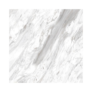 Picture of Decovita - Bianco Carrara 24 x 24 Bianco Carrara