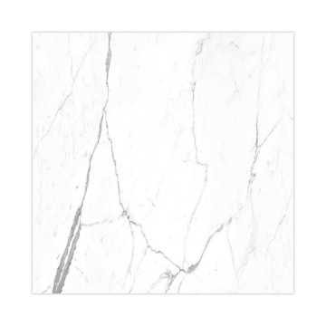 Picture of Decovita - Calacatta 24 x 24 Satin Matte Pearl