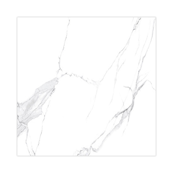 Picture of Decovita - Calacatta 24 x 24 Polished White