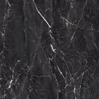 Picture of Decovita - Grigio 24 x 24 Polished Black