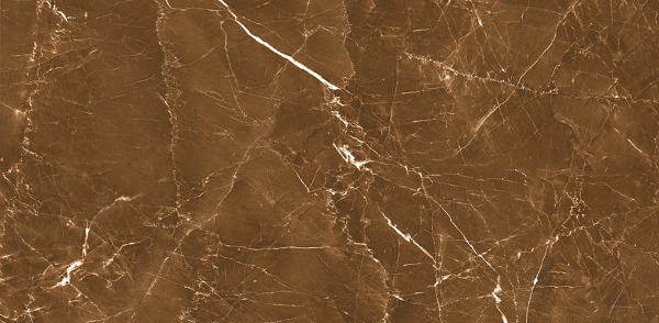 Picture of Decovita - Grigio 24 x 48 Polished Brown