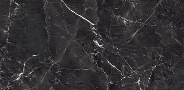 Picture of Decovita - Grigio 24 x 48 Polished Black