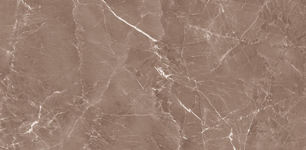 Picture of Decovita - Grigio 24 x 48 Polished Taupe