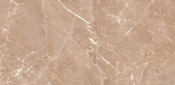 Picture of Decovita - Grigio 24 x 48 Polished Beige
