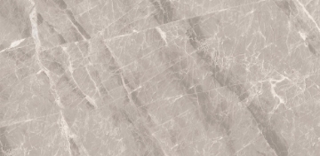 Picture of Decovita - Nambia 12 x 24 Polished Taupe