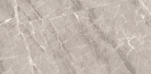 Picture of Decovita - Nambia 12 x 24 Polished Taupe