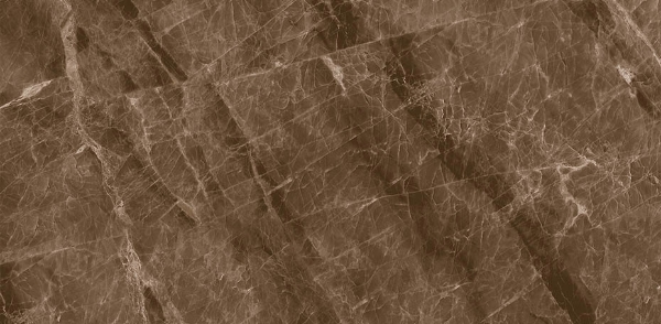 Picture of Decovita - Nambia 24 x 48 Polished Brown