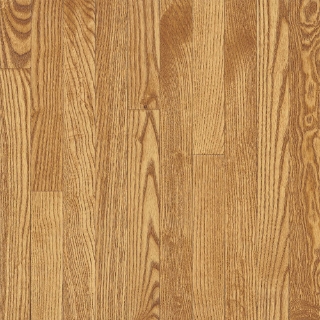 Picture of Bruce - Dundee Plank 3 1/4 Seashell