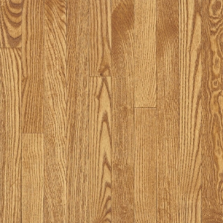 Picture of Bruce - Westchester Solid Strip Seashell