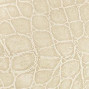 Picture of EcoDomo - Echelon Tile 18x18 Paloma Grey Jumbo Croc