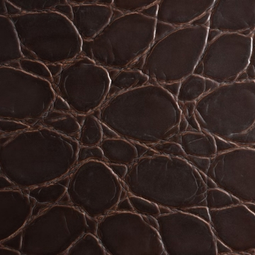 Picture of EcoDomo - Rainforest Planks Jumbo Croc Merlot