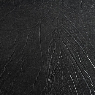 Picture of EcoDomo - Rainforest Planks Grizzly Noir