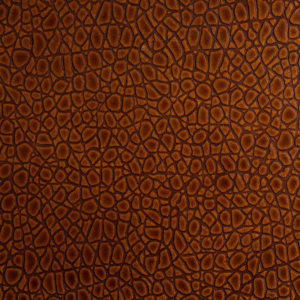 Picture of EcoDomo - Rainforest Planks Mini Croc Copper