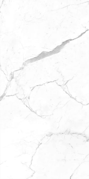 Picture of Decovita - Calacatta 24 x 48 Matte R11 Pearl