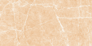 Picture of Decovita - Terre 12 x 24 Polished Beige