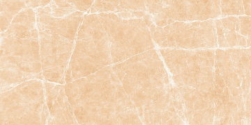 Picture of Decovita - Terre 12 x 24 Polished Beige