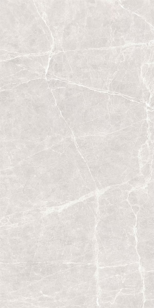 Picture of Decovita - Terre 24 x 48 Polished White