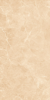Picture of Decovita - Terre 24 x 48 Polished Ivory