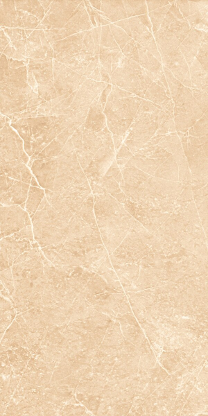 Picture of Decovita - Terre 24 x 48 Polished Ivory