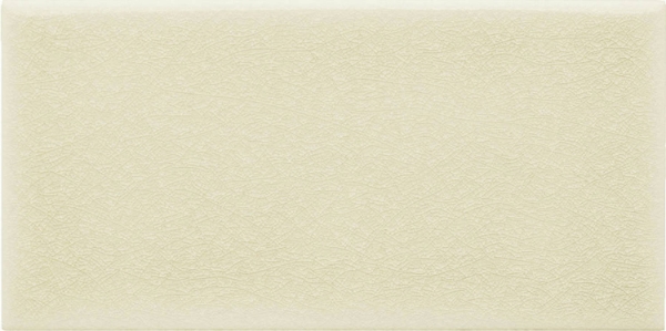 Picture of Adex USA - Ocean 3 x 6 Sand Dollar