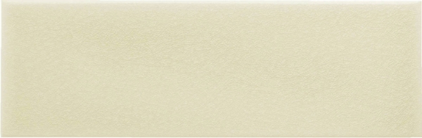 Picture of Adex USA - Ocean 3 x 9 Sand Dollar