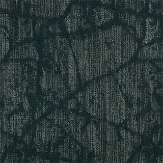 Picture of Mannington Commercial - Canopy II Sydney