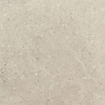 Picture of Daltile - Dignitary 24 x 24 Matte Notable Beige