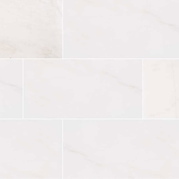 Picture of MS International - Marble 12 x 24 Polished Bianco Dolomite